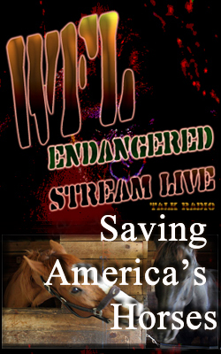 Saving America's Horses Banner